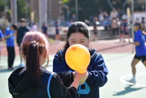 裝飾性圖片