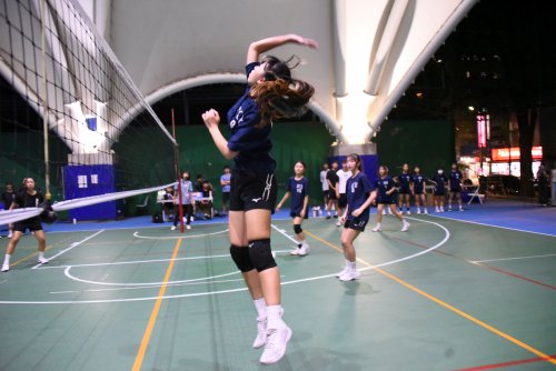 裝飾性圖片