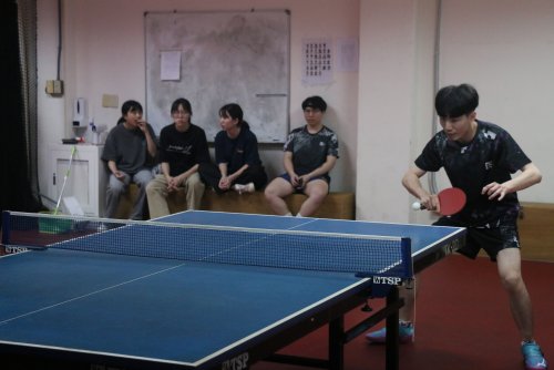 裝飾性圖片