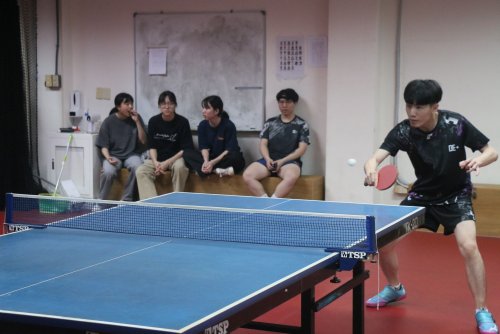 裝飾性圖片